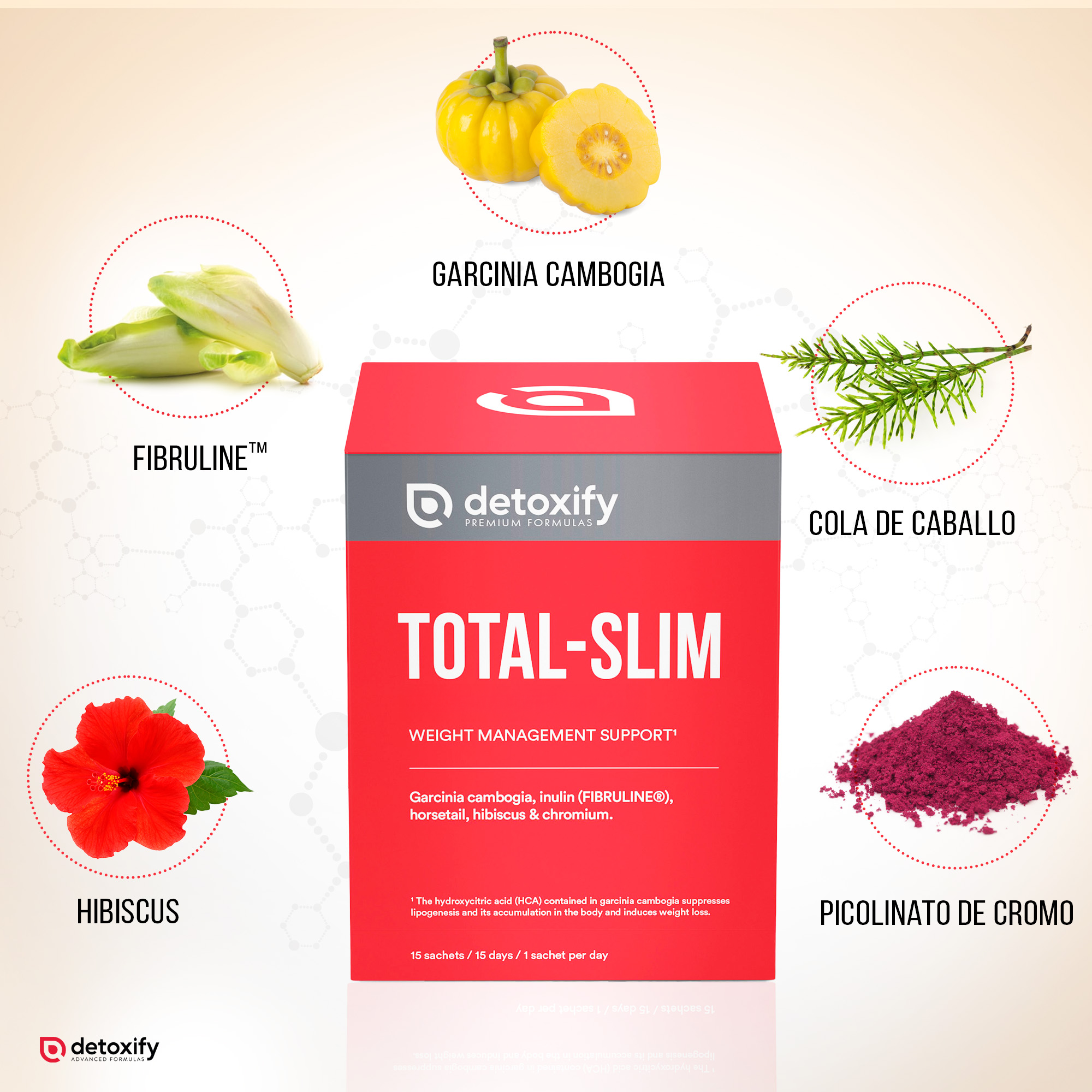 Detoxify Total-Slim | Queimador de Gordura Potente para Emagrecer | Potente Saciante em Saquetas | Garcinia Cambogia Crómio Cavalinha Hibisco | Emagrecimento Rápido e Eficaz Mulher | 15 Dias